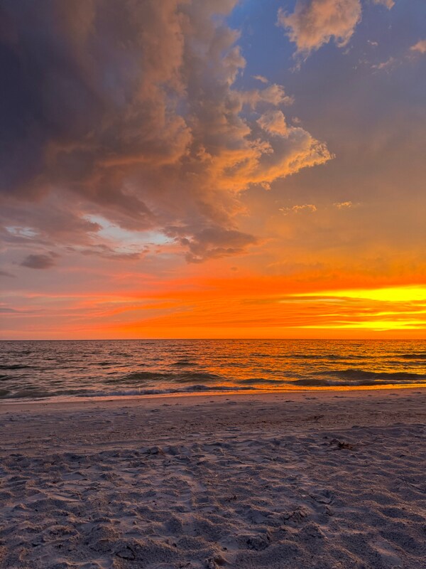 102 87th Ave, Treasure Island, FL 33706 - photo 3