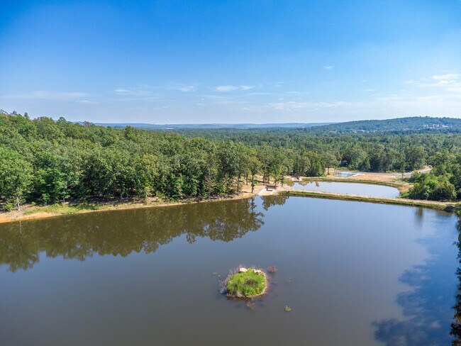 15103 Matterhorn Loop, Maumelle, AR 72113 - photo 6