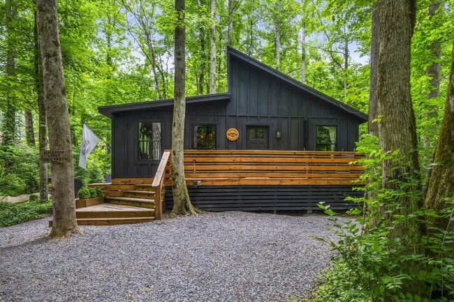 4949 Ledford Rd unit ID1051743P, Cosby, TN 37722 - photo 4