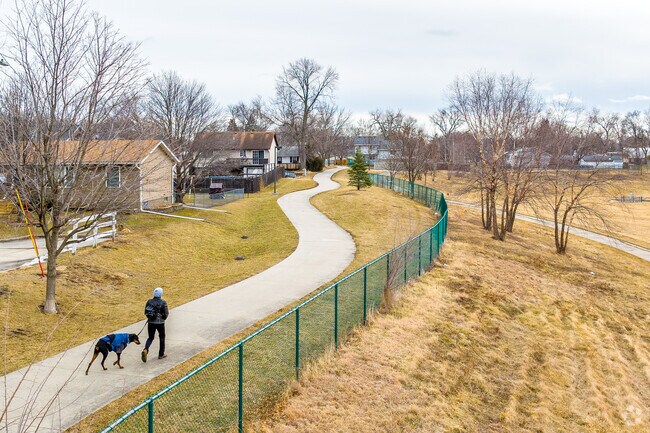 Dog walkers at Easton Basin Park are commonplace in Accent.