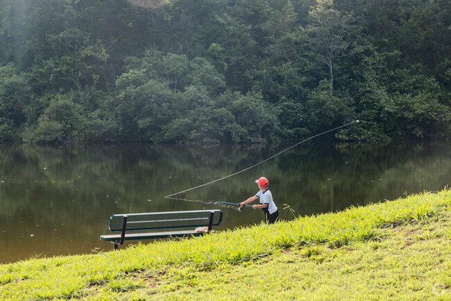 Piney Mountain offers the perfect backdrop for a fishing trip.