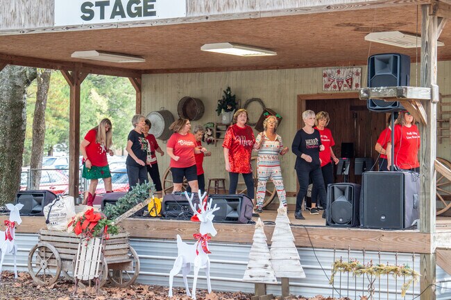 Cath the shows at Christmas in the Country at Homestead Hollow in Springville.