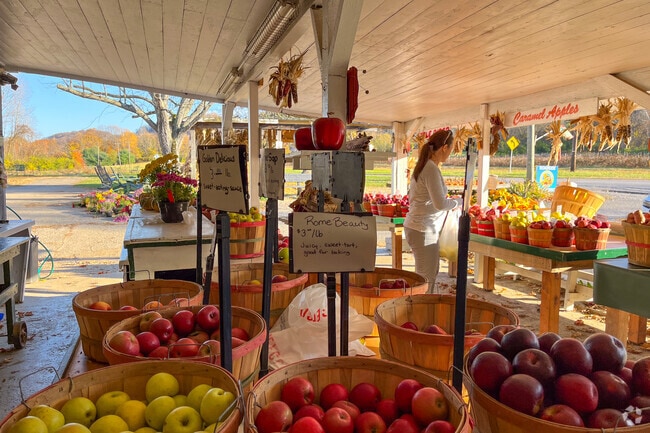 McGlasson Farm has the best apple selection for sale in Hebron neighborhood.