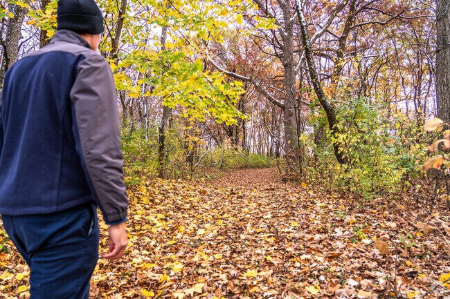 Walk the wooded trail cutting through the center of Rutland Forest Preserve near Huntley.