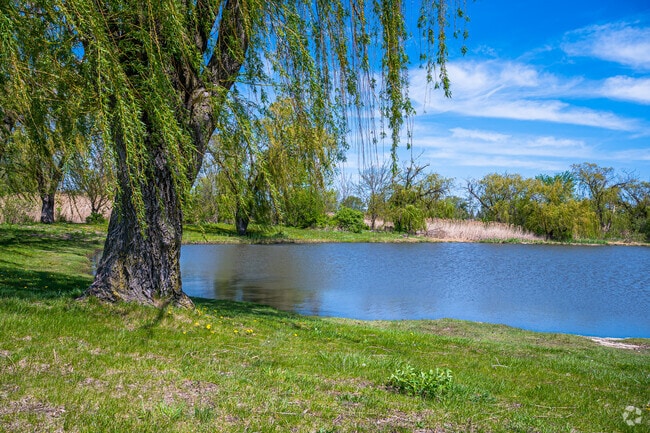 Lake Ashbourne is a great place to relax and enjoy the beautiful atmosphere.