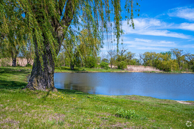 Lake Ashbourne is a great place to relax and enjoy the beautiful atmosphere.