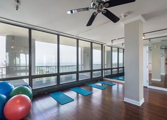 530 W Hawthorne Place unit 3450-2602, Chicago, IL 60657 - photo 4