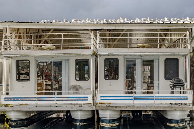 Seagulls take a break from the rain down Harborview Dr in Gig Harbor North.