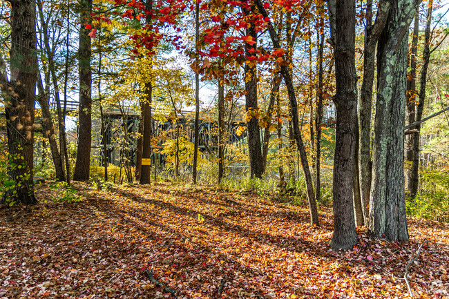 The grounds surrounding The Founders Academy are wooded and tranquil.