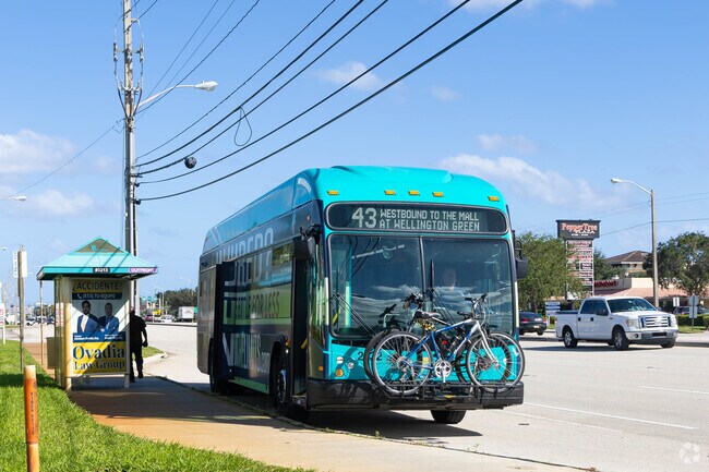 Bus transportation makes travel easy in Schall Circle.