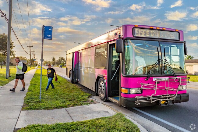 The Joel neighborhood is serviced by Lee County Transit, making most stops along Joel Blvd.