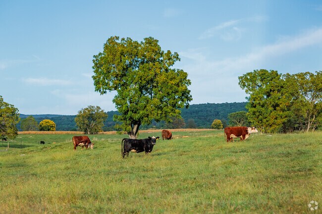 Pinesburg is well known for the acres and acres of beautiful farmland.