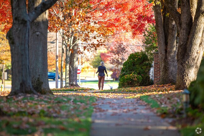 Established neighborhoods in Hollywood are ideal for afternoon walks.