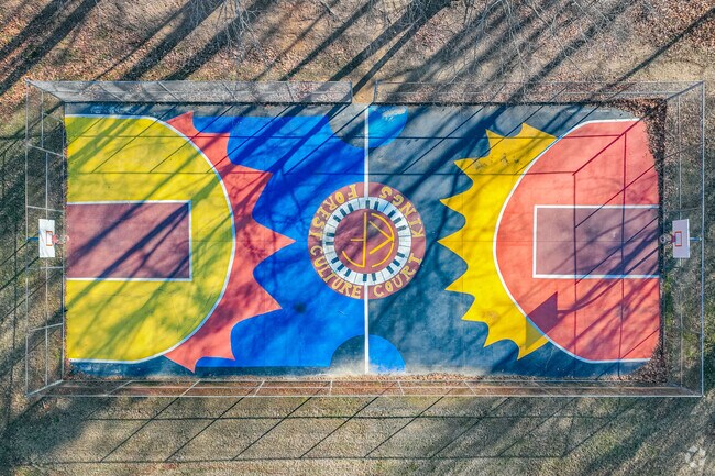 Kings Forest even adds beautiful art to their basketball courts.