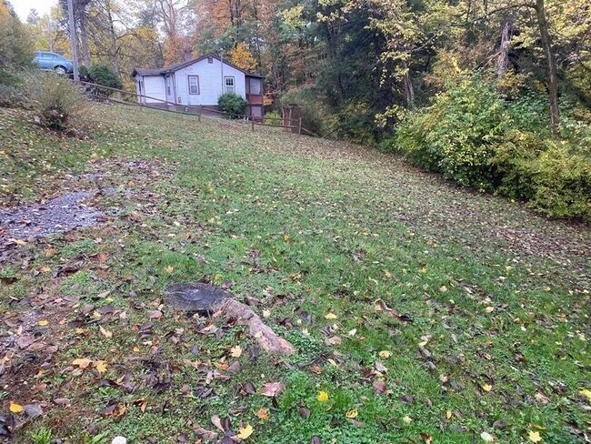 7 Braddock St unit A, Morgantown, WV 26505 - photo 6