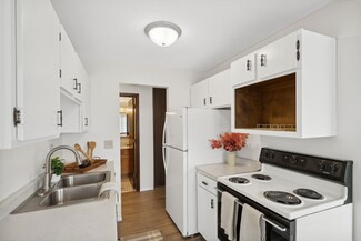 410 Van Dyke St, Saint Paul, MN 55119