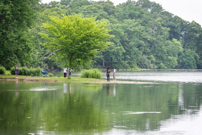 Budlong residents discover tranquility at Meshanticut State Park.