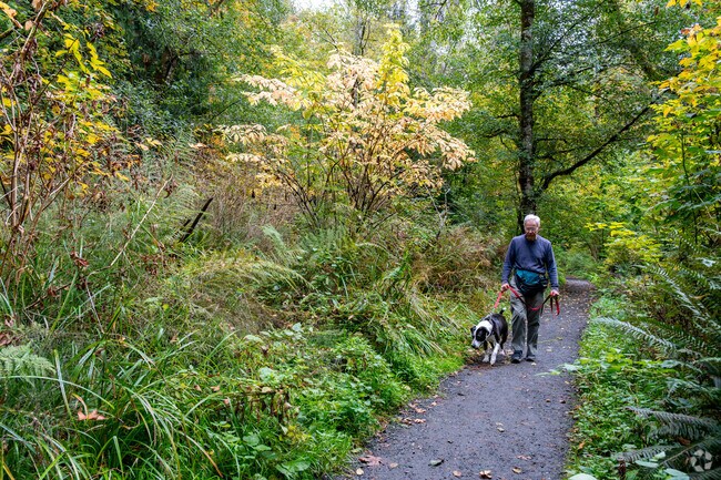 Wander through the woods near South Capitol and enjoy the natural beauty at Watershed.