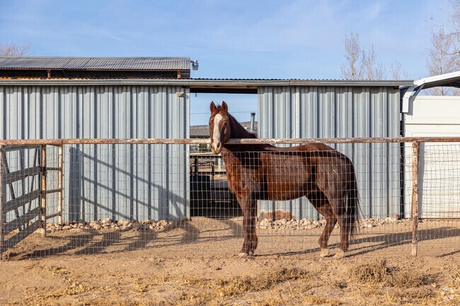 Homes in Paulden have plenty of space to keep horses and other animals in Chino Valley.
