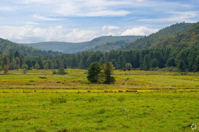 Animals roam the open terrain of Cornwall.