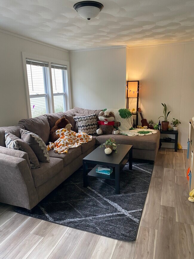 423 W Doty St unit 2, Madison, WI 53703 - photo 3