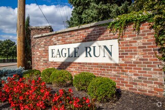 Eagle Run