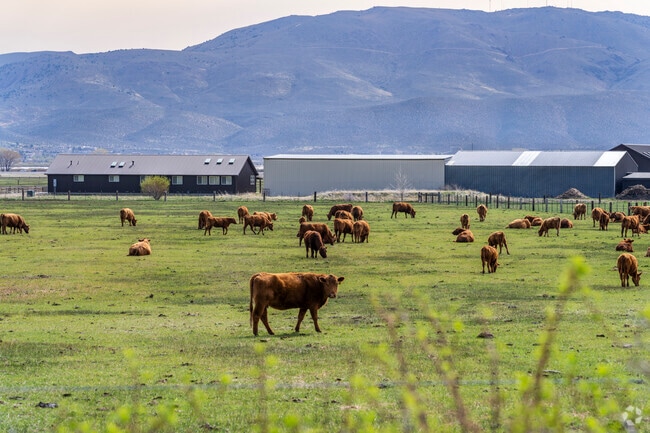 Franktown has a large agricultural footprint and proudly provides organic produce and dairy products to surrounding grocers.