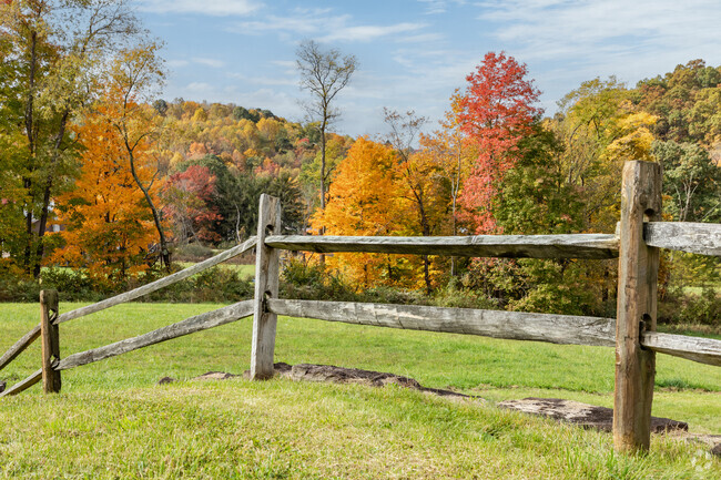 Picturesque pops of Fall can be found in Springfield.