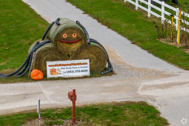 A haybale spider welcomes visitors to Buffalo Pumpkin Farms.