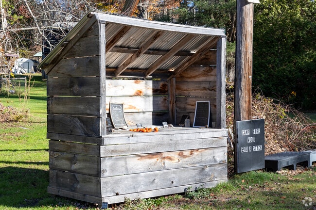 Free firewood and logging industry makes up the majority of Fosters daily activity.