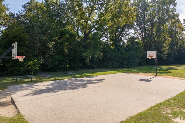 Play a pick-up basketball game on one of Albion Acres' public courts.