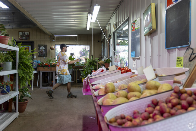 Reed's Famers Market in Meridianville is a great place to find plants and produce in the area.
