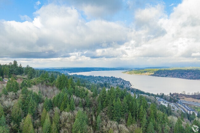 Cougar Mountain Regional Park trail offers stunning views of Lake Sammamish.