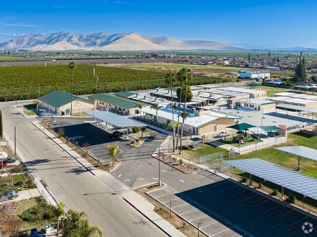 Looking East from Palm Elementary School towards the orchards and farmland of Orosi.