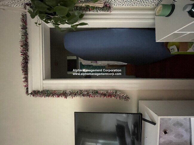 187 Winthrop Rd unit 208-37, Brookline, MA 02445 - photo 4