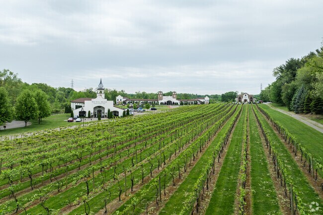 Gervasi Vinyards in Martindale Park is a beautiful place to go for date night.