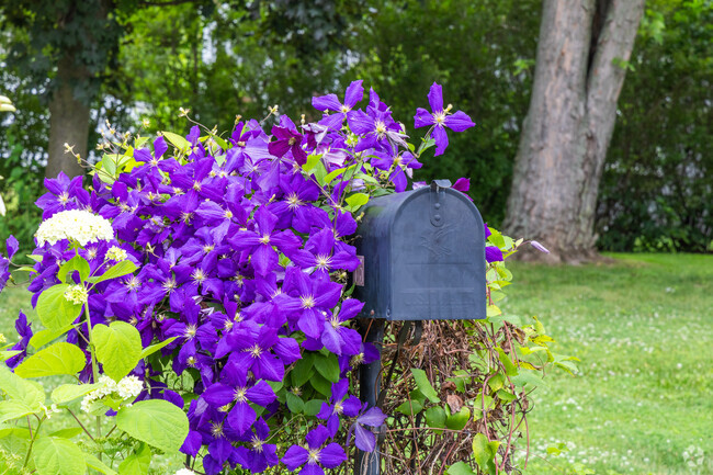 Southport homes are known to have wonderful landscape design.