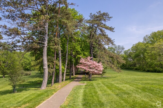 A pathed walking path at Daniel Drake Park