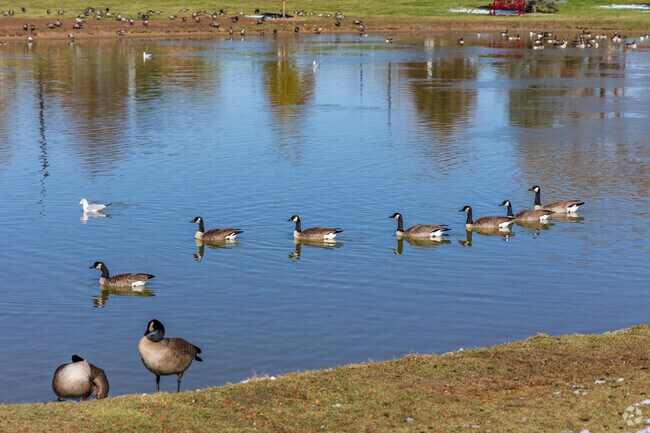 Residents can enjoy the wildlife at Broomfield Community Park near the Brandywine neighborhood.