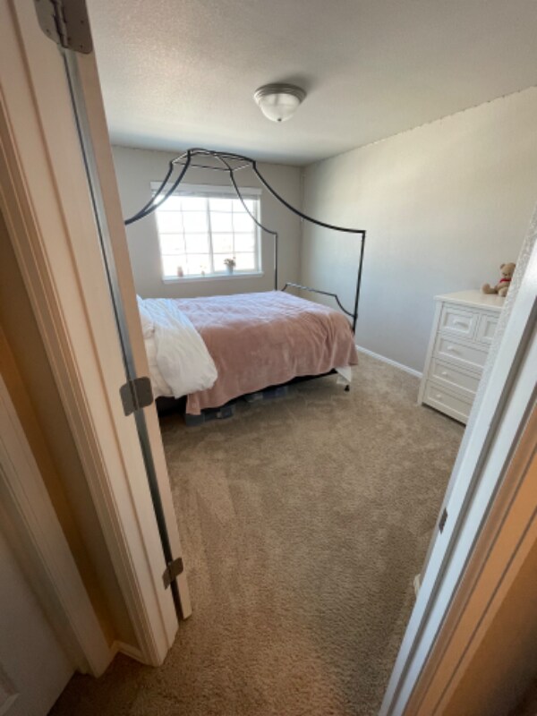 1628 Shoreview Pkwy, Severance, CO 80550 - photo 4