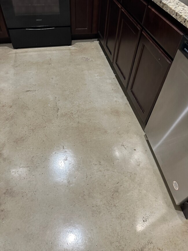 Spotless floor with a view of dishwasher