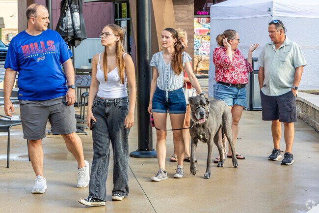 Strolling with a dog and family is a relaxing and grounding activity at the Friday Moonlight event at Concord Station, Florida.