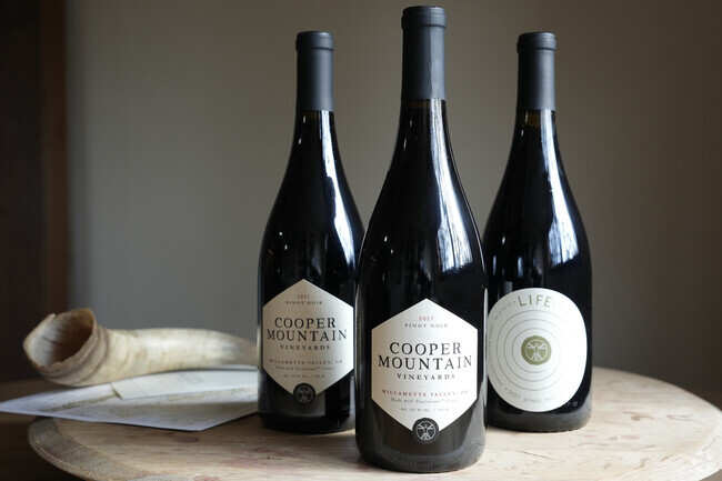 Cooper Mountain Vineyards in Cooper Mountain-Aloha South provides a great selection of wines.