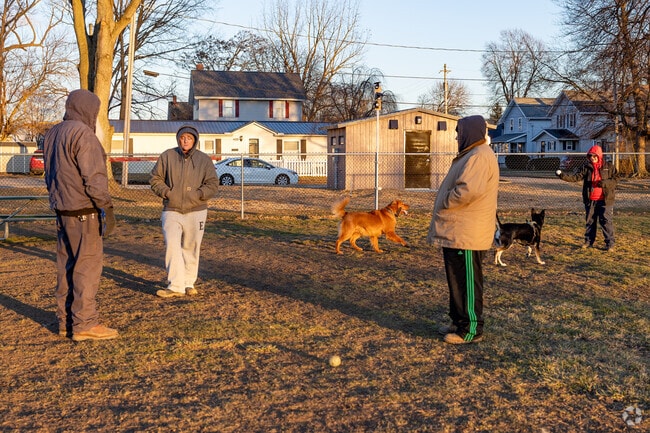 Take your dog on an adventure at Barberton Dog Park at Decker Park.