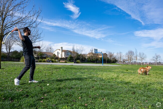A Wright Are resident enjoys running his dog at Airfield Park.
