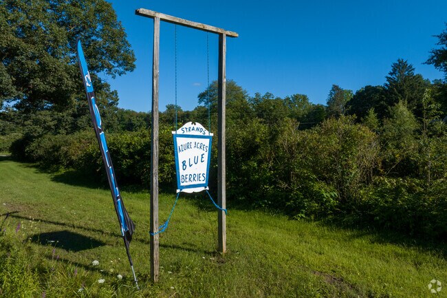 The blueberries at Azure Acres Blueberry Farm in Clio are picked fresh daily in season.