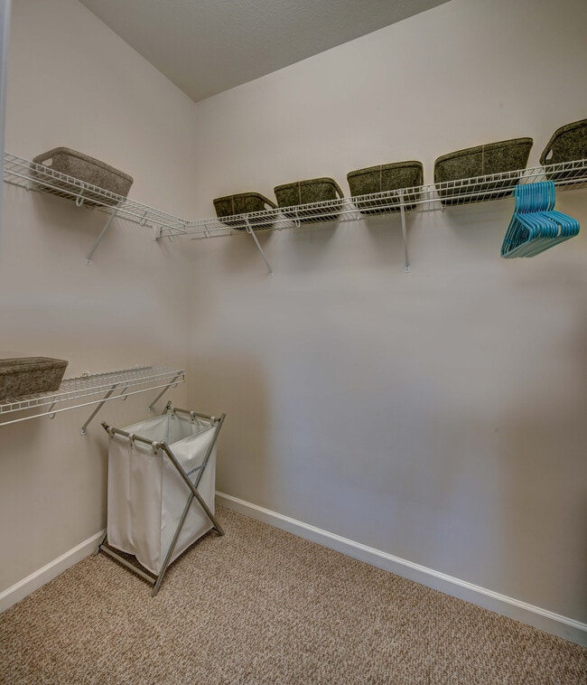 The Province (KY), Louisville, KY 40208 - photo 4