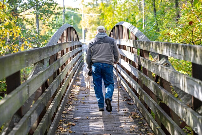 A Danville resident walks across a stream bridge in Ellis Park.