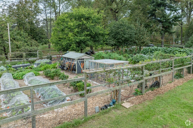 There is a community garden a few minutes away from Pimlico Good Neighbors at Northwest Park.
