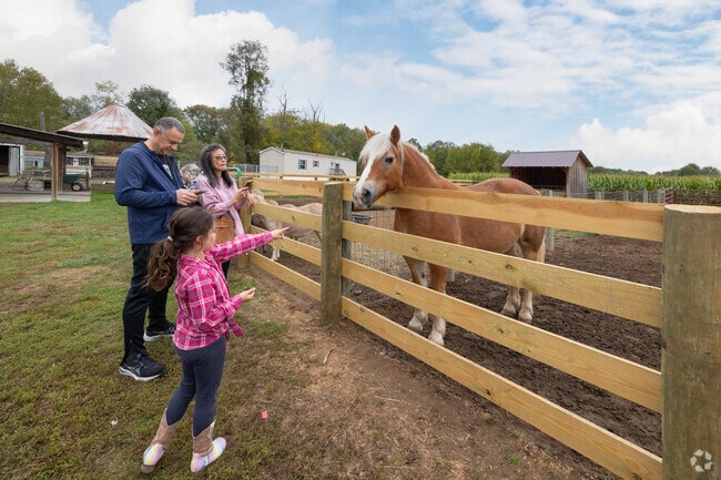 Pet a friendly horse at the fall festival at Kesicke Farm of Red Hook.